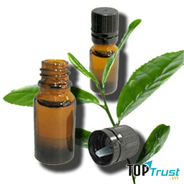Trà xanh rất giàu Terpenoid, đây là một hoạt chất có khả năng kháng khuẩn, diệt nấm rất tốt.