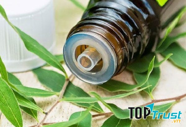 Ảnh minh họa (Nguồn internet)