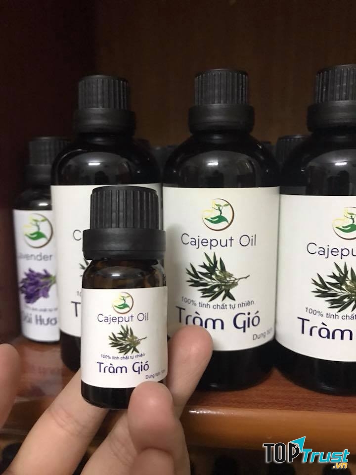 Tinh dầu tràm gió Viện Hàn lâm KH&CN VN