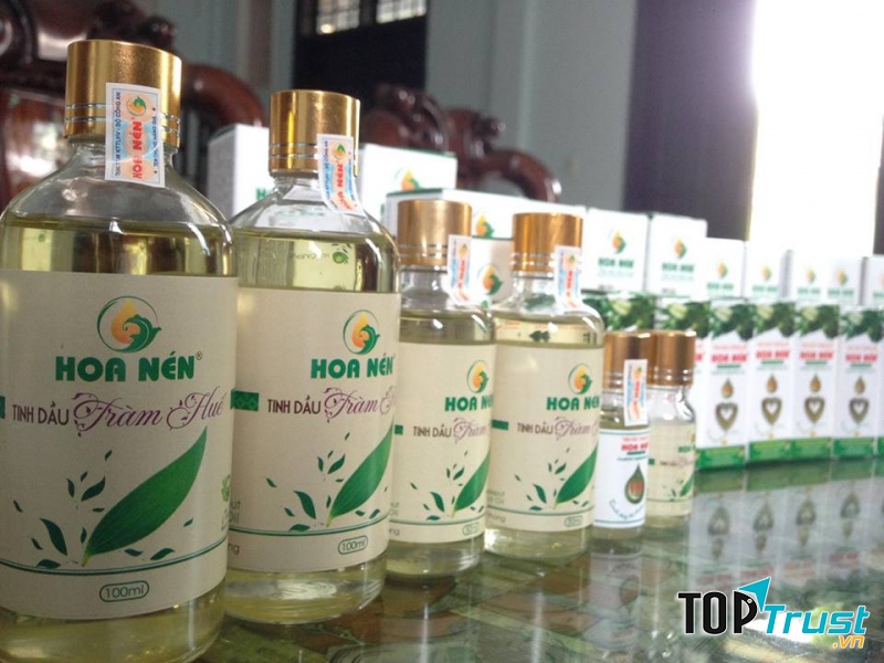 Tinh dầu tràm Huế nguyên chất - Hoa Nén