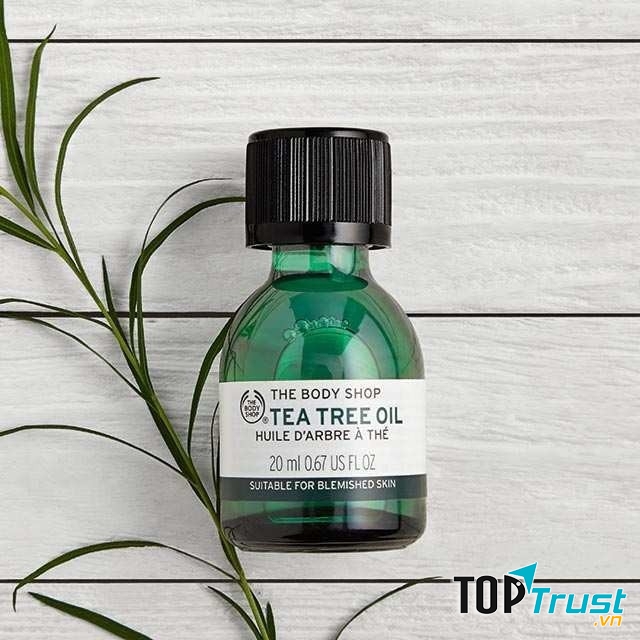 Tinh dầu tràm trà Tea Tree Oil