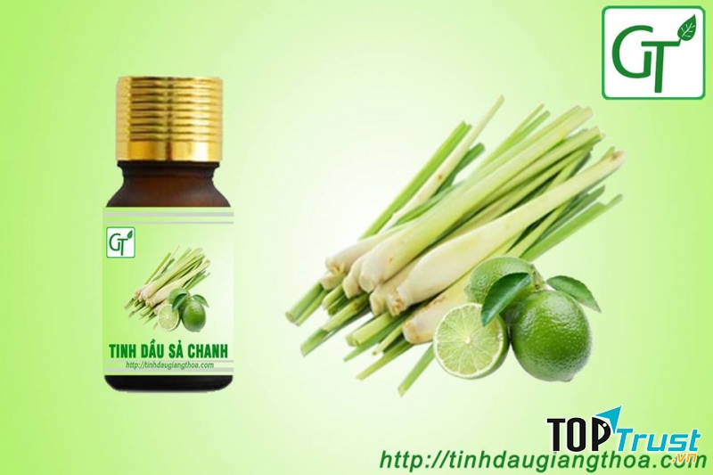 Tinh dầu và Thảo mộc GT