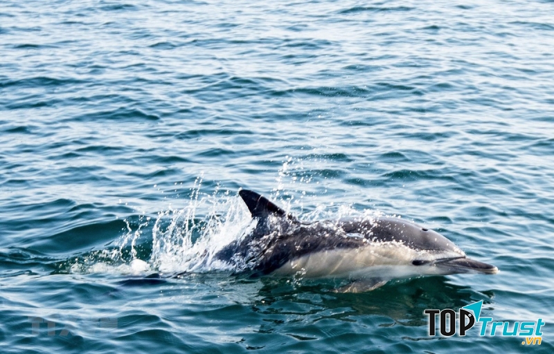 Ảnh minh họa (Nguồn Internet)