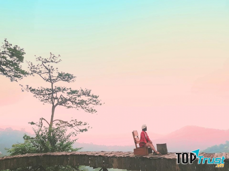 Tổ Chim Homestay