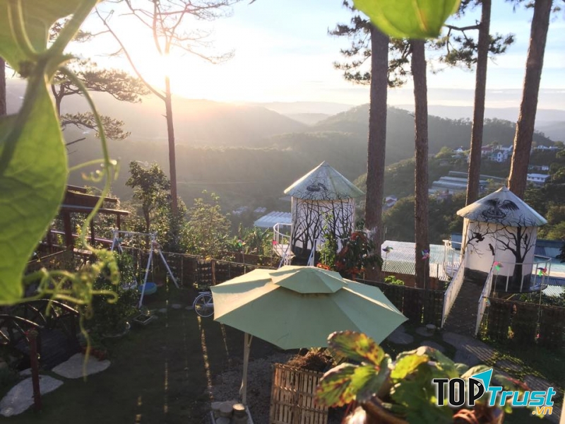 Tổ Chim Homestay Coffee - Đà Lạt