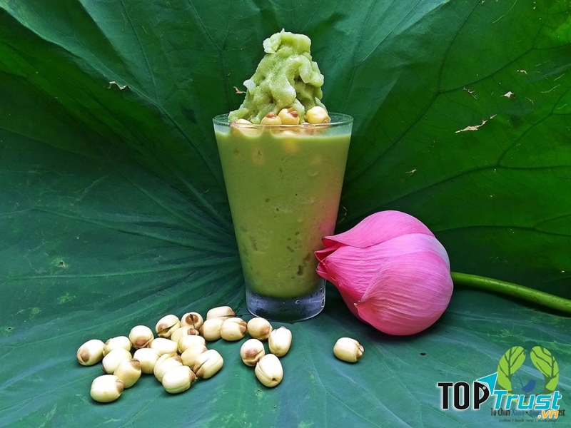 Tổ Chim Xanh - Bluebirds' Nest