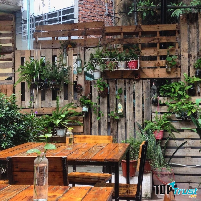 Tổ Chim Xanh - Bluebirds' Nest