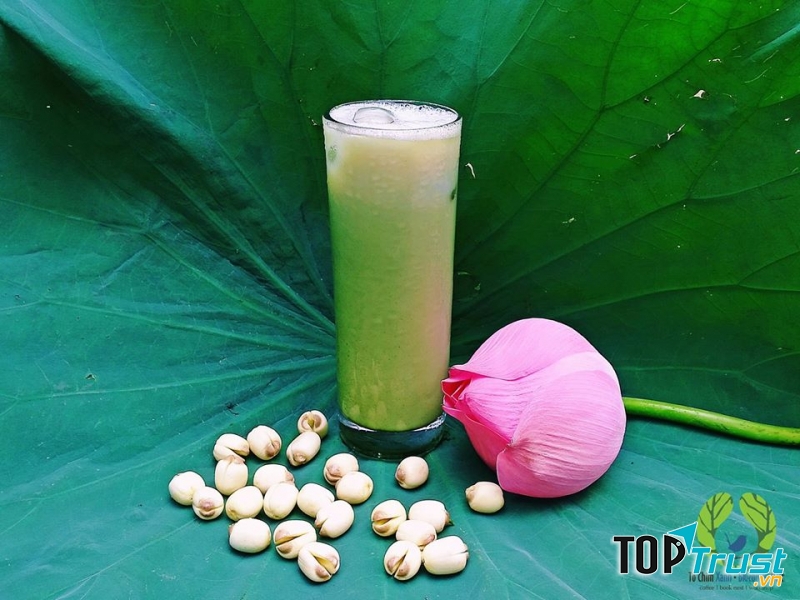 Tổ Chim Xanh - Bluebirds' Nest