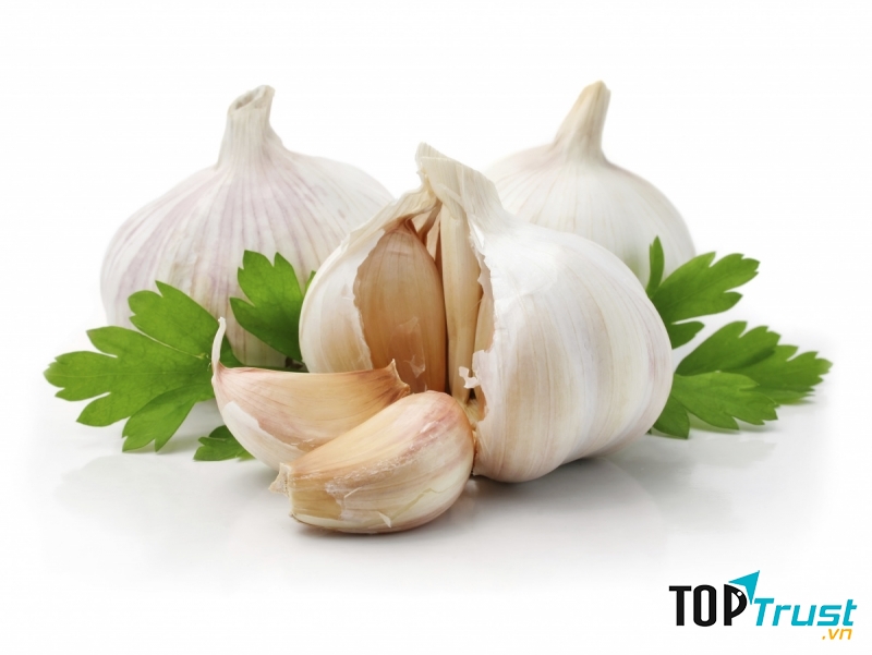 Tỏi là gia vị mang lại rất nhiều lợi ích cho sức khỏe, trong đó có tác dụng ngăn ngừa lão hóa.