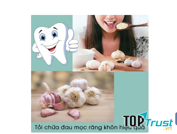 Tỏi