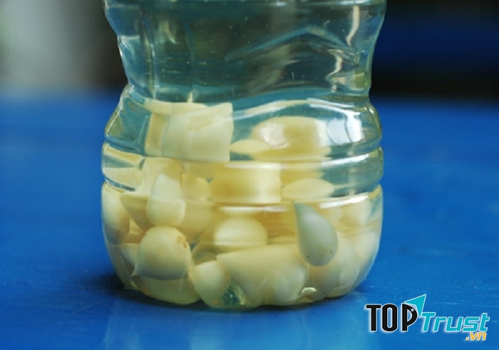 Tỏi ngâm rượi chữa được nhiều bệnh