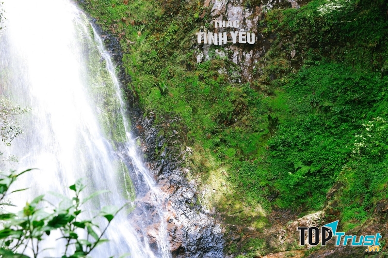 Thác Tình Yêu