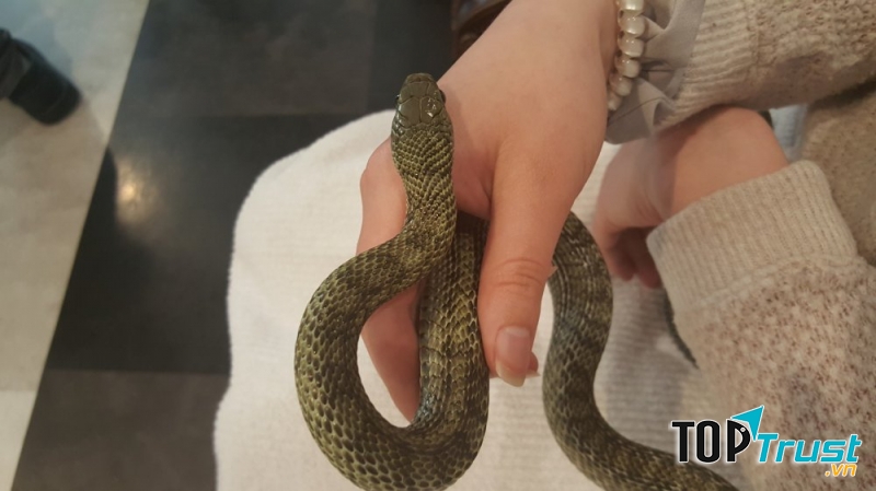 Tokyo Snake Center, Harajuku