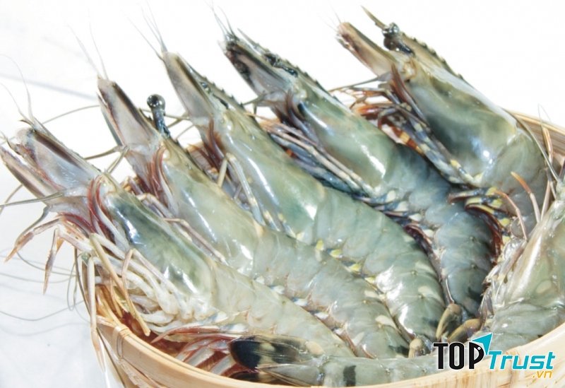 Tôm là một loại hải sản rất quen thuộc (Nguồn: Sưu tầm)