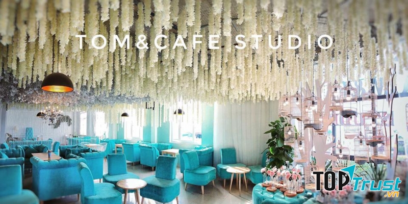 Tom & Café Studio