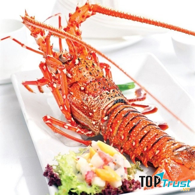 Tôm hùm được chế biến thành rất nhiều các món ngon