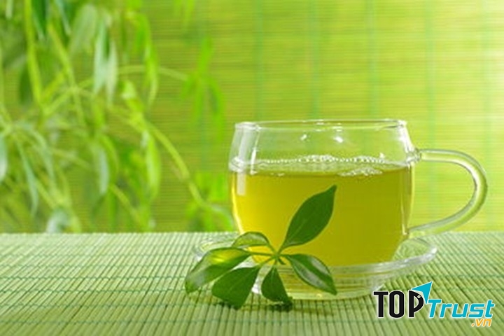 Toner trà xanh cho làn da sáng khỏe