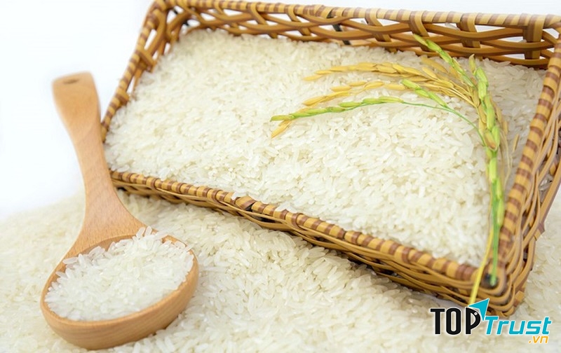 Tổng công ty Lương thực miền Bắc