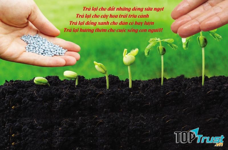 Tổng Công ty Sông Gianh