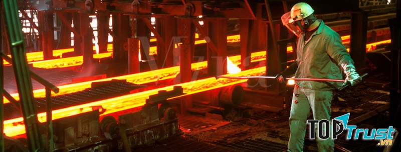 Tổng công ty Thép Việt Nam