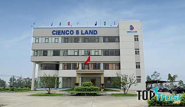 Tổng Công ty Xây dựng Công trình Giao thông 5.