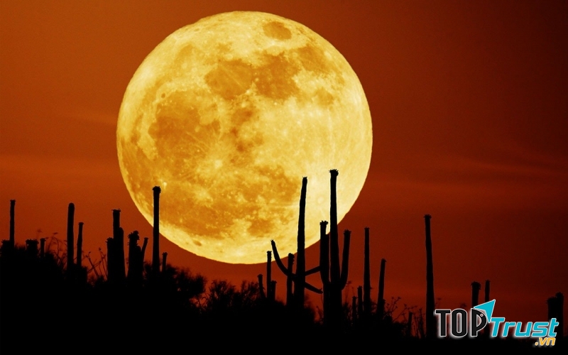 Thật sự do mặt trăng quá to mà chúng ta lại quá nhỏ nên mới có cảm giác ấy.