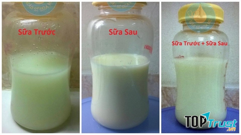 Sữa đầu và sữa cuối
