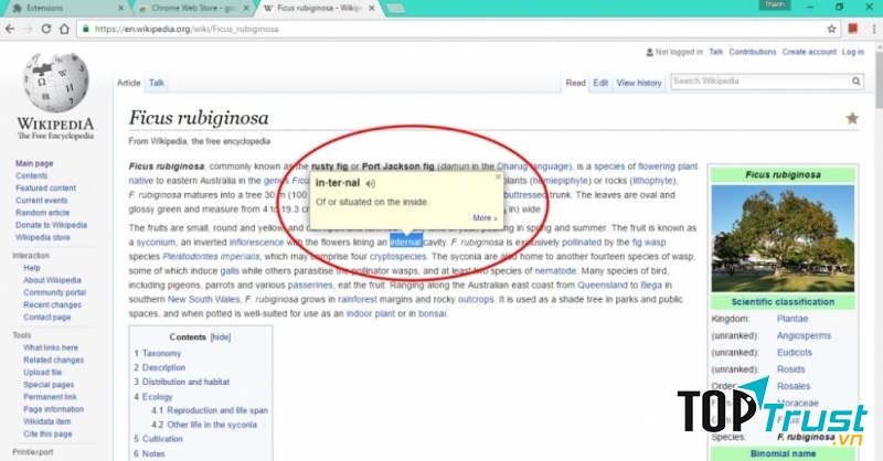 Google Dictionary giúp bạn xem ngay nghĩa của từ khó hiểu trong quá trình duyệt web