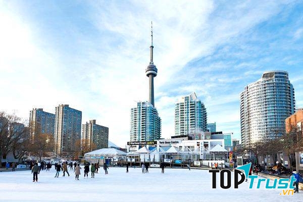 Cuộc sống ở Toronto xinh đẹp