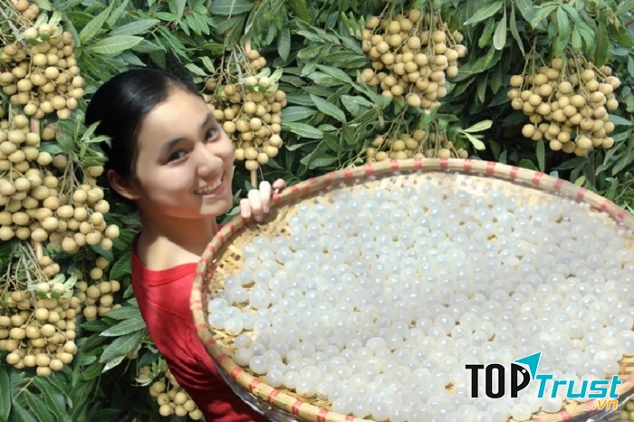 Tốt cho hệ thần kinh