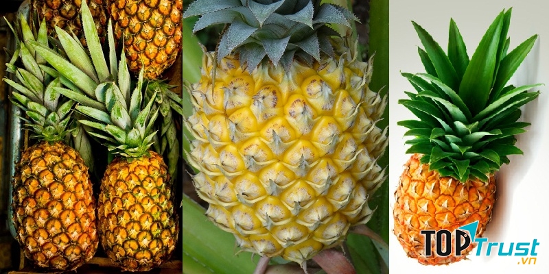 Tốt cho thị lực