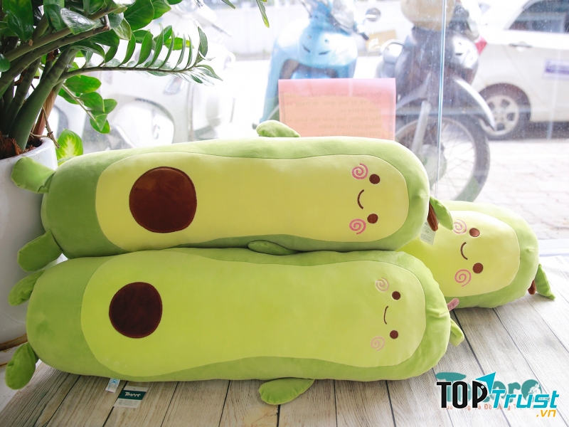 Totoro Việt Nam