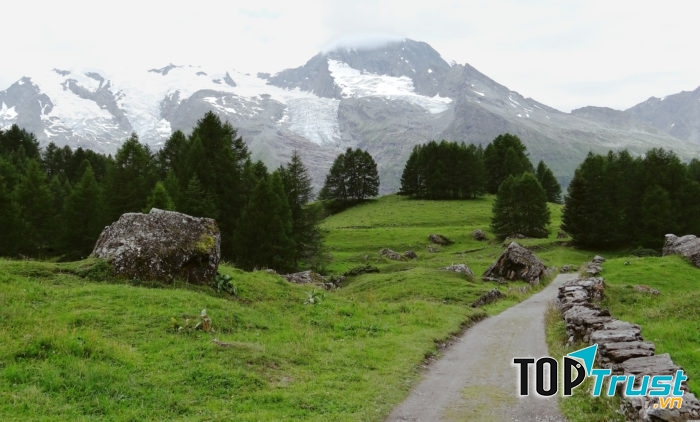 Đường mòn Tour du Mont Blanc