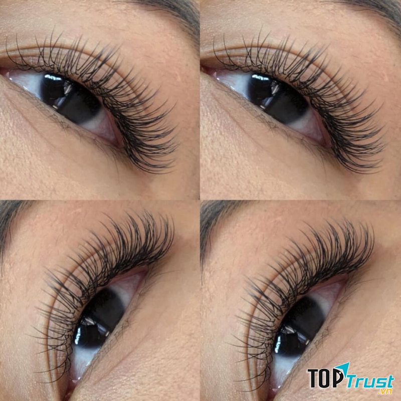 ToXic Beauty & Academy