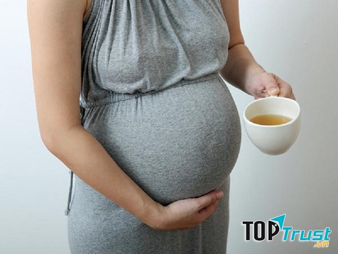 Trong y học cổ truyền, trà bạc hà từ lâu đã được sử dụng như một thức uống lành mạnh cho những người mắc chứng ốm nghén.