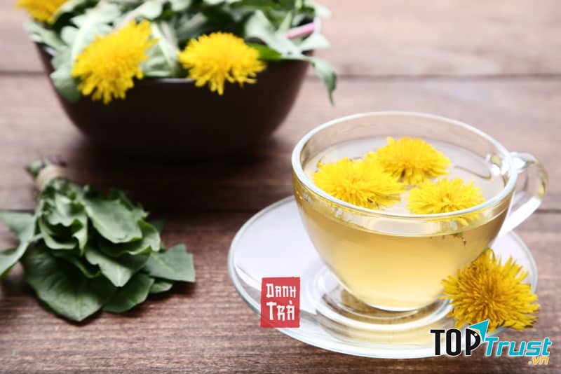 Trà bồ công anh