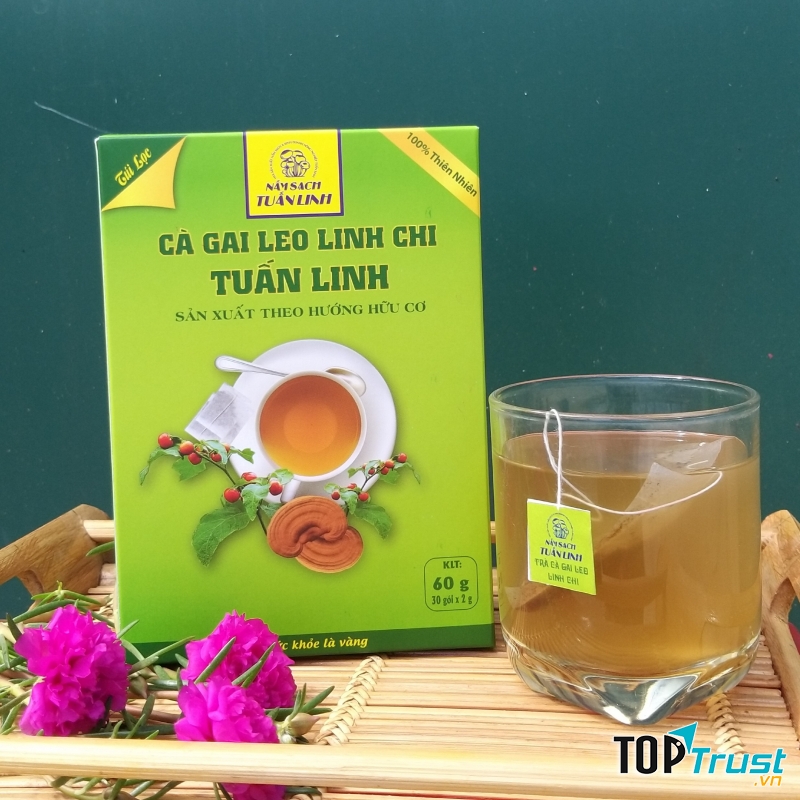 Trà Cà Gai Leo Linh Chi Tuấn Linh