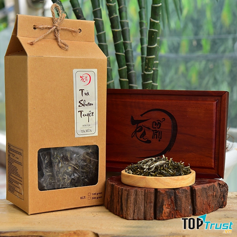 Trà cổ thụ Tây Bắc