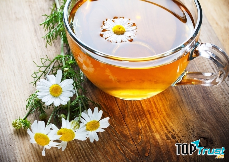 Trà hoa cúc được xem là một loại thảo dược có nhiều tác dụng tích cực cho sức khỏe