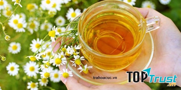 Trà hoa cúc