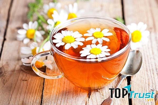 Trà hoa cúc