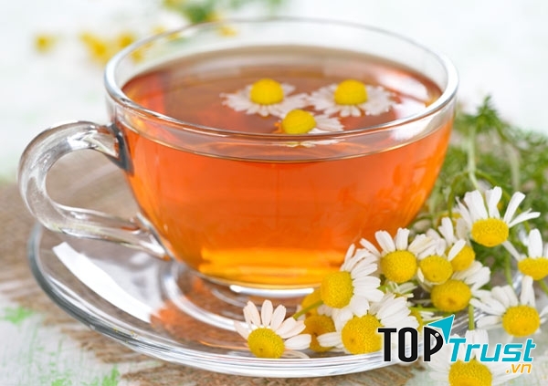 Trà hoa cúc tốt cho hệ tiêu hóa