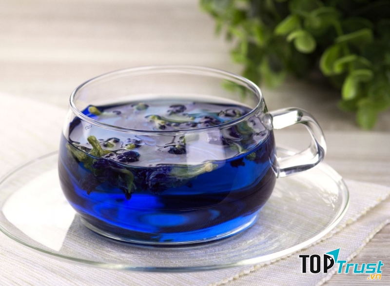 Trà hoa đậu biếc