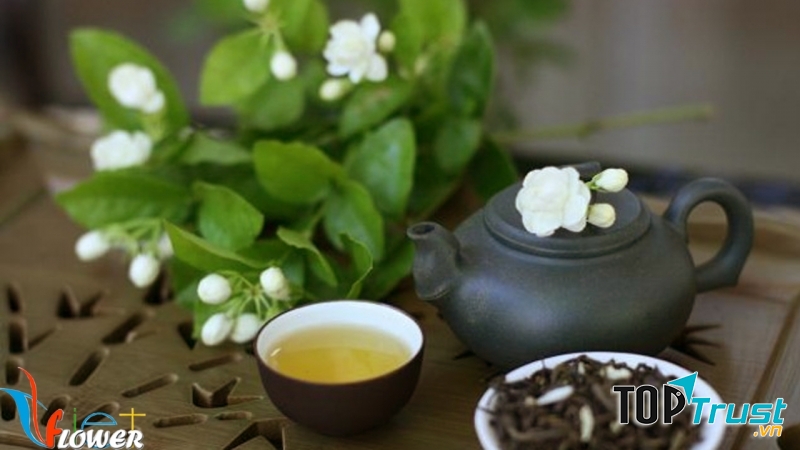 Trà hoa nhài