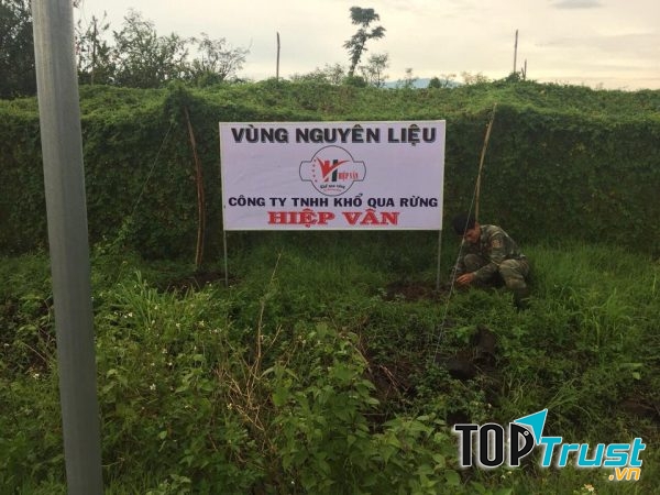 Vùng nguyên liệu của Khổ qua rừng túi lọc Hiệp Vân