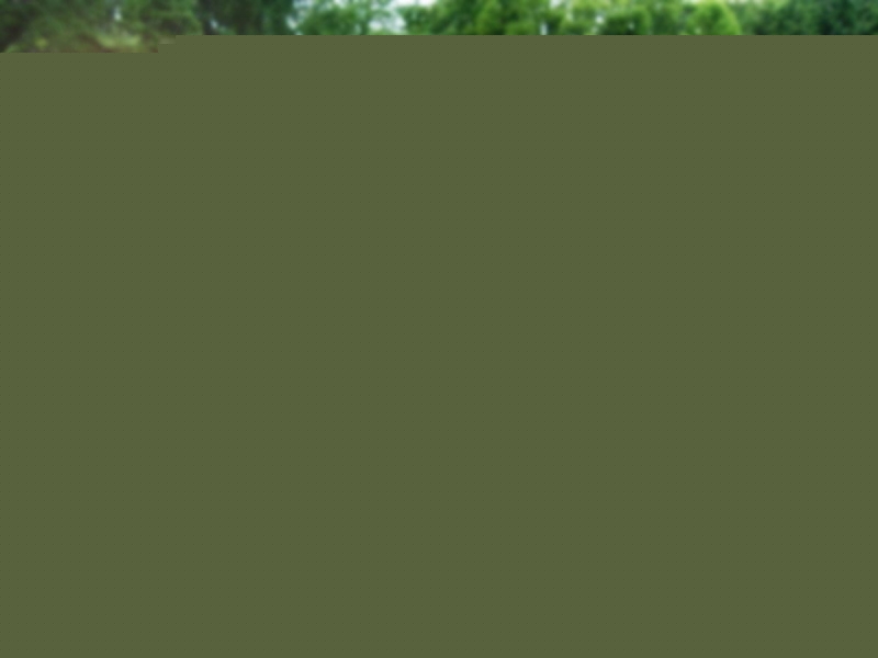 Nguồn Internet