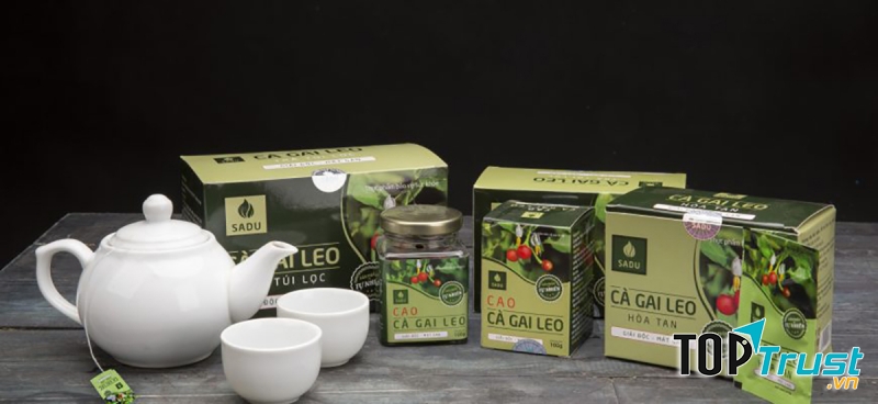 Trà thảo mộc cà gai leo