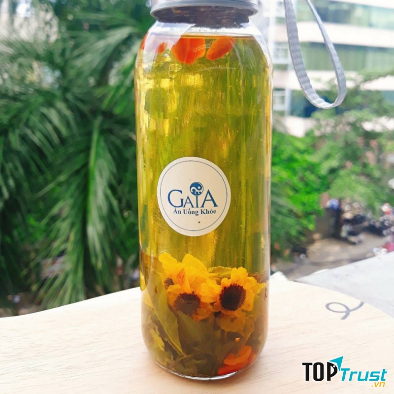 Trà Thảo Mộc GaiA