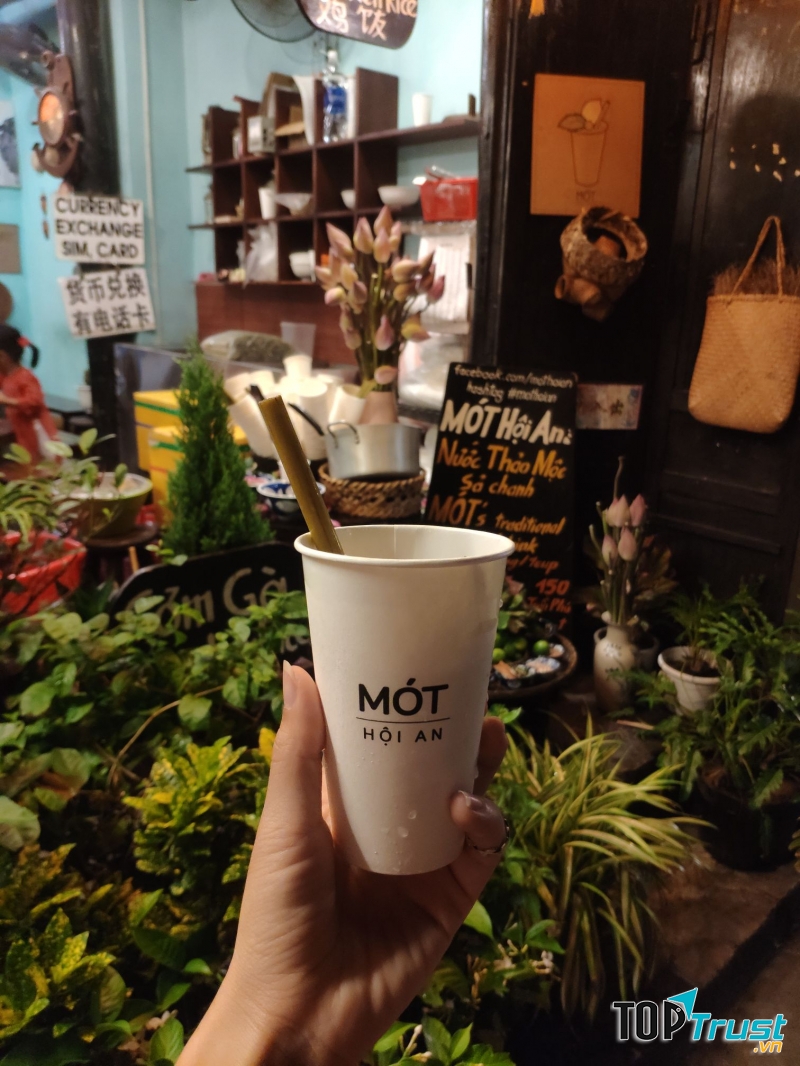 Trà thảo mộc Hội An - Mót Hội An