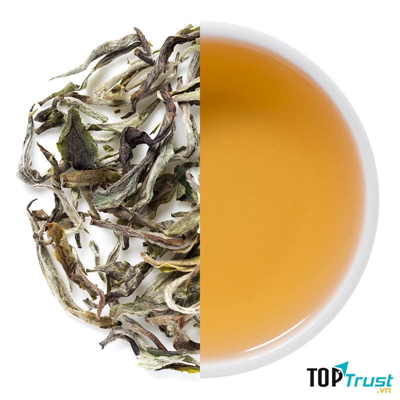 Trà trắng đóng vai trò quan trọng trong việc giảm cân và ngăn ngừa nếp nhăn